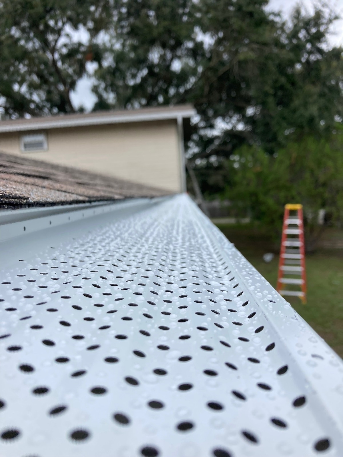 Micro-mesh leaf guard close-up after rain — a Gutter Mule install